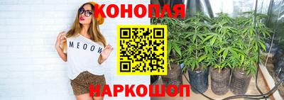 стаф Малоярославец