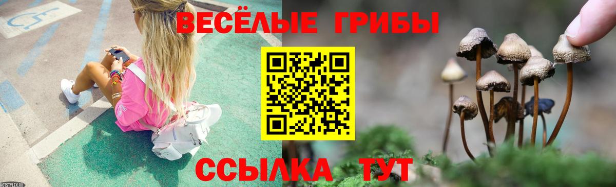 Галлюциногенные грибы MAGIC MUSHROOMS Трёхгорный