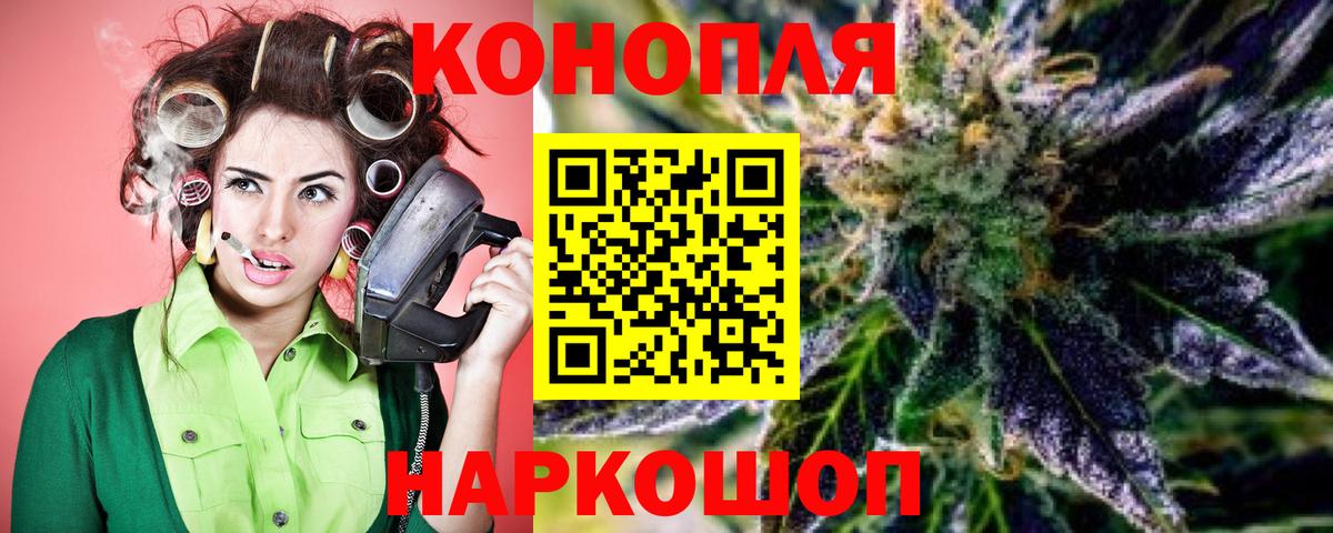 МАРИХУАНА план Трёхгорный